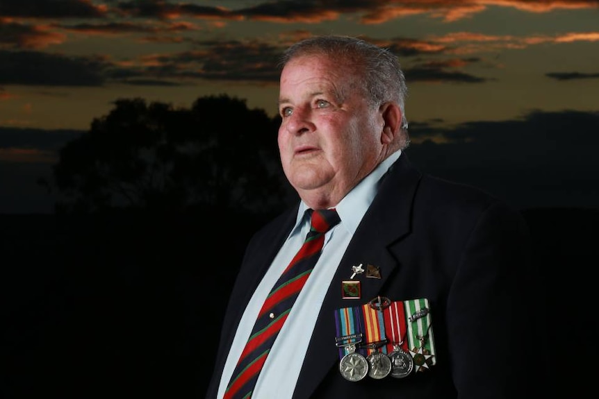 An man in a suit with medals 