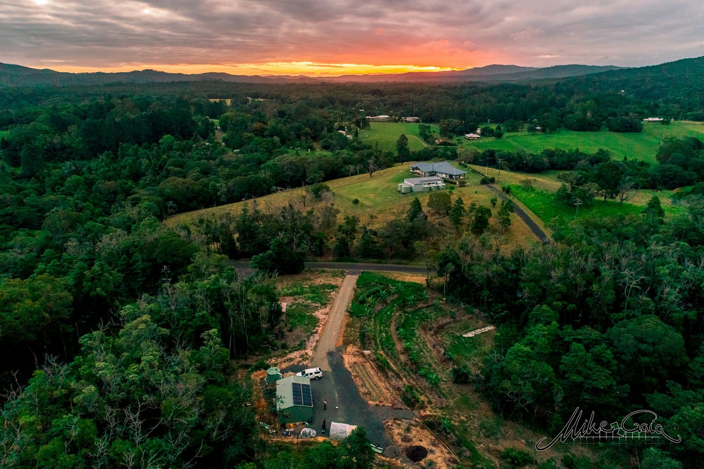 Kuranda man's mission to grow offgrid edible forest using syntropy