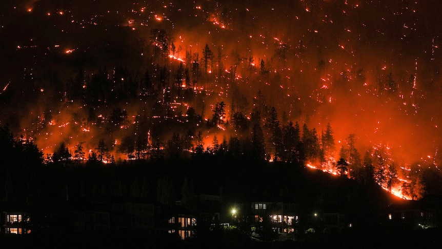 Il Canada sta vivendo la sua peggiore stagione di incendi.  Questo è ciò che accade e come appare sulla Terra