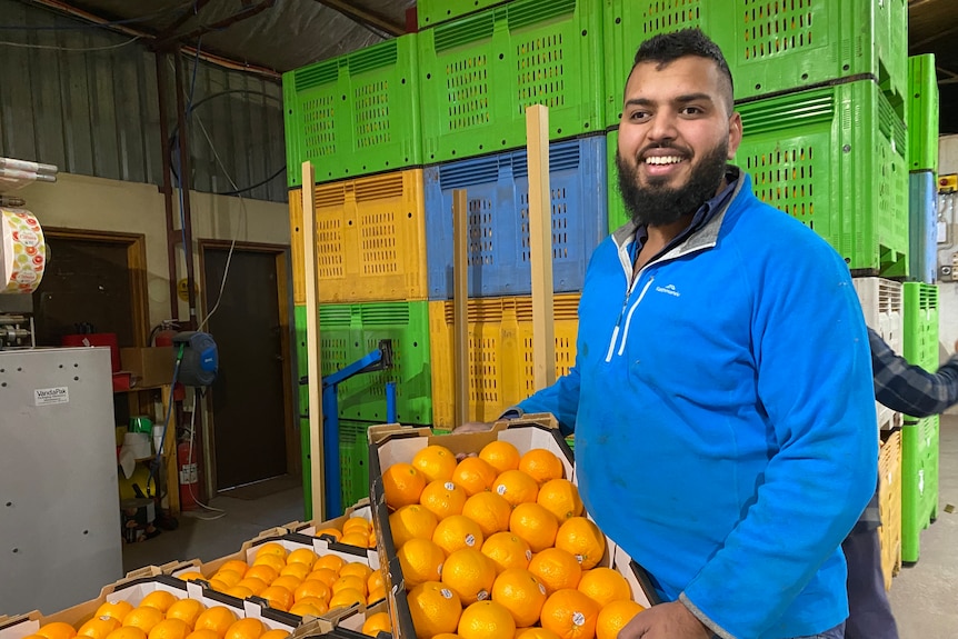 A tall man with a bright blue shirt and dark hair and beard. He is smiling, holding a box of oranges.