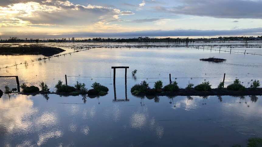 Heavy rain causes flooding on this property at Dalby. Photo taken morning of December 17, 2018.