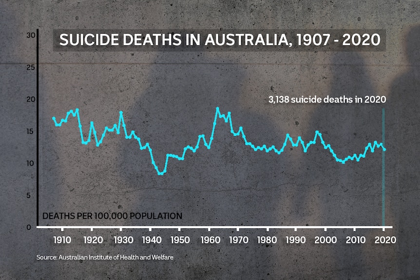 A line graph showing fluctuating rates of suicide.