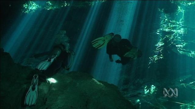 Scuba divers swim underwater