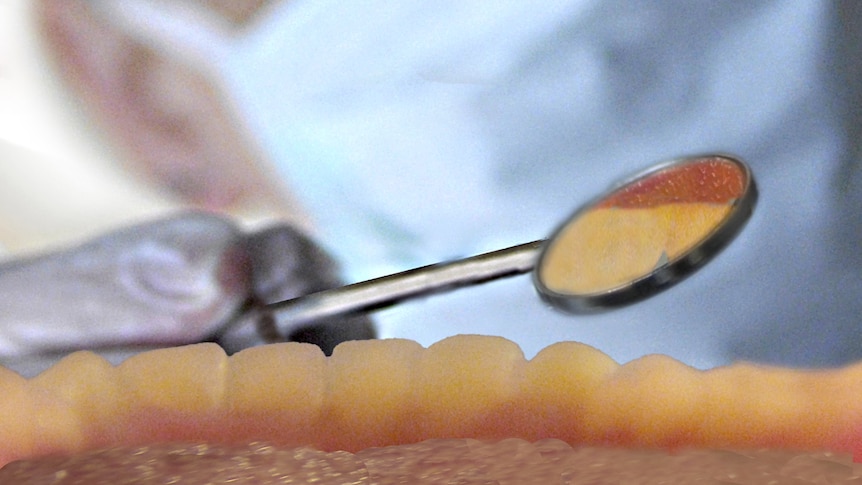 Dentist looks into patient's mouth