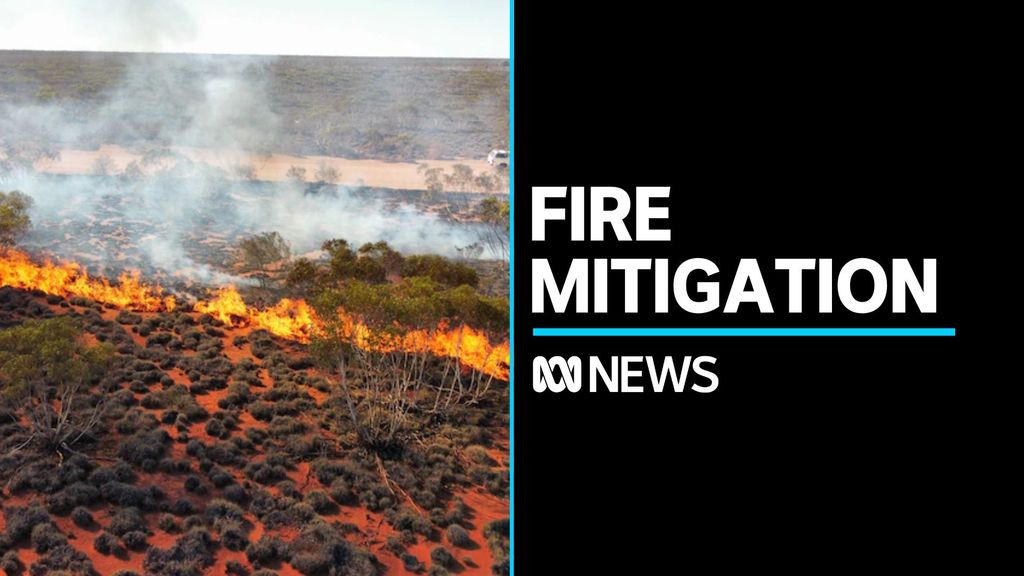 NT rangers calls for extension of carbon credits program - ABC News
