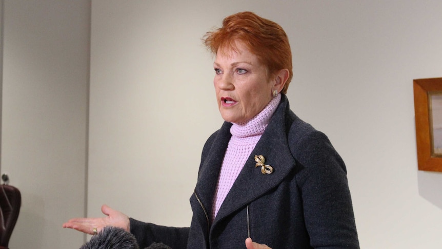 Pauline Hanson holding a press conference. She's wearing a navy blue jacket, pink jumper and gold brooch.