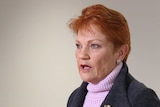 Pauline Hanson holding a press conference. She's wearing a navy blue jacket, pink jumper and gold brooch.