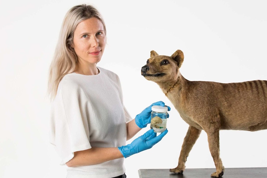 Dr Christy Hipsley with Museums Victoria's thylacine.