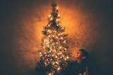 A young boy sits in the glowing gold light of a Christmas tree.