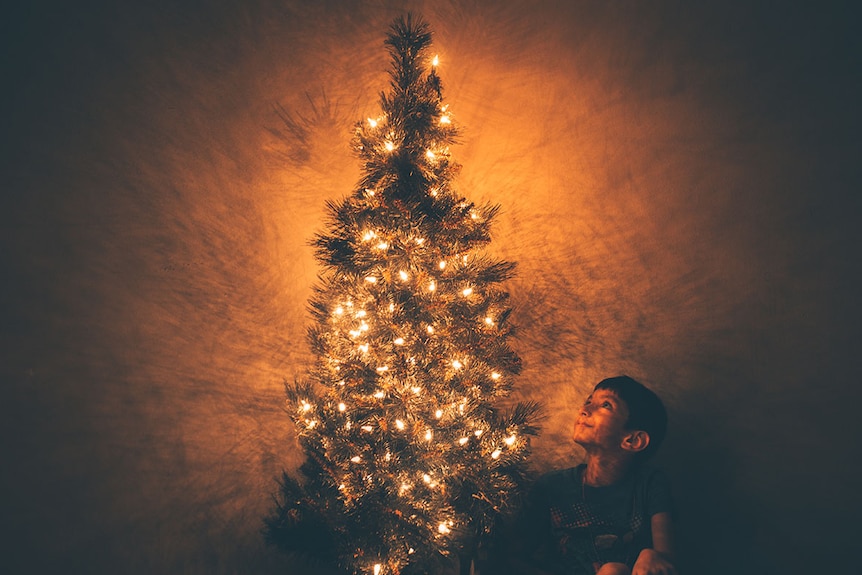 A young boy sits in the glowing gold light of a Christmas tree.