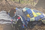 A woman appears to sleep under a blanket in bushland.