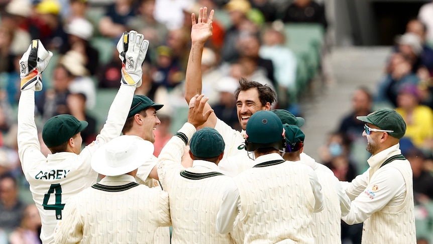 Mitch Starc celebrates with teammates by holding up his hand