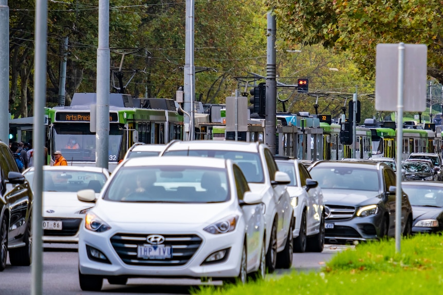 Cars and trams queued up.