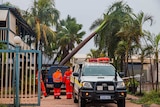 shot of palm tree falling on car, with emergency services staff and car on site