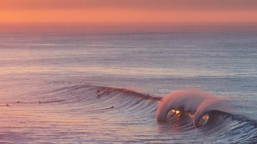 A wave curls over as the sun rises behind it.