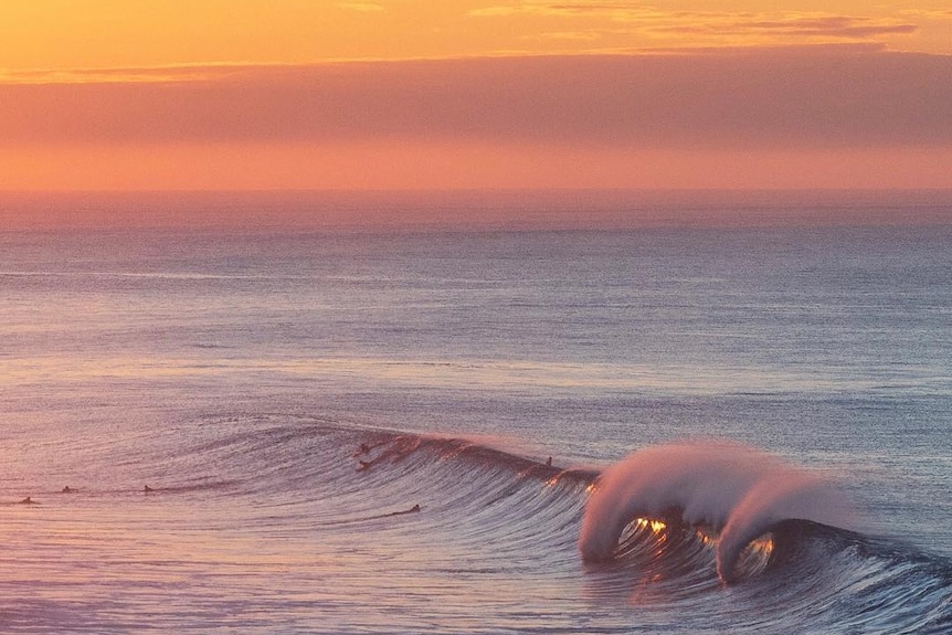 A wave curls over as the sun rises behind it.