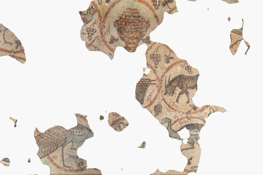 Shards of an ancient mosaic featuring an animal, birds and grapes