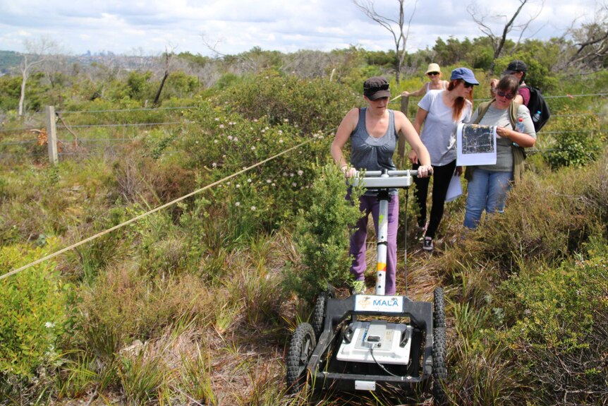 Archaeologists use a ground penetrating radar to find unmarked graves.