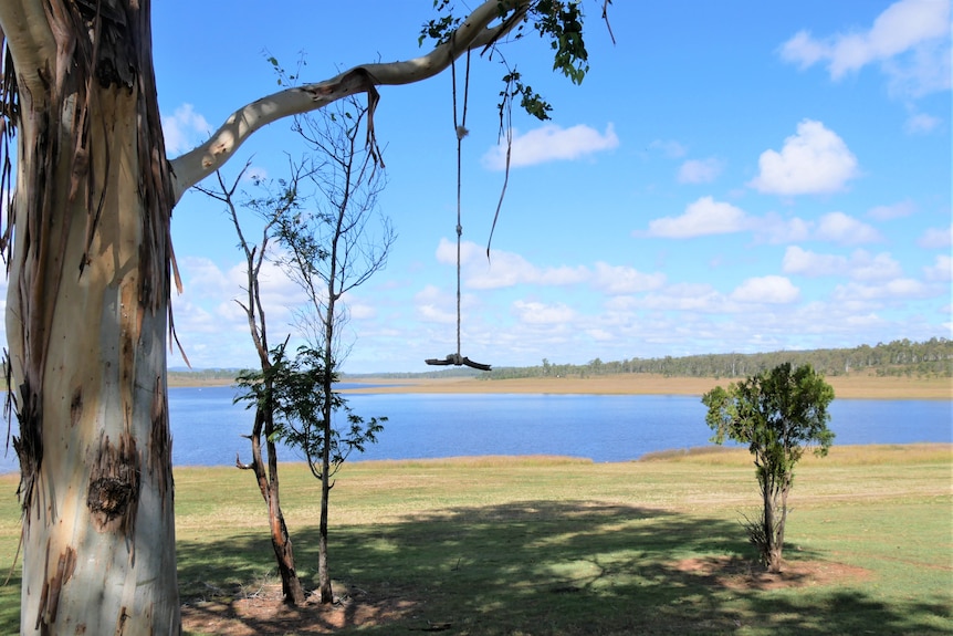 A rope swing hangs from a tree tens of metres away from the water line as the dam is so low