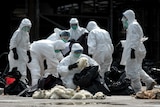 Hong Kong begins mass chicken cull after H7N9 virus found