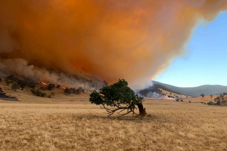 A fire tornado.