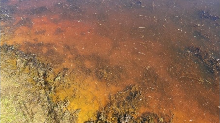 Brown coloured water in a dam 