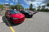 Row of black and red Teslas in a parking lot. 