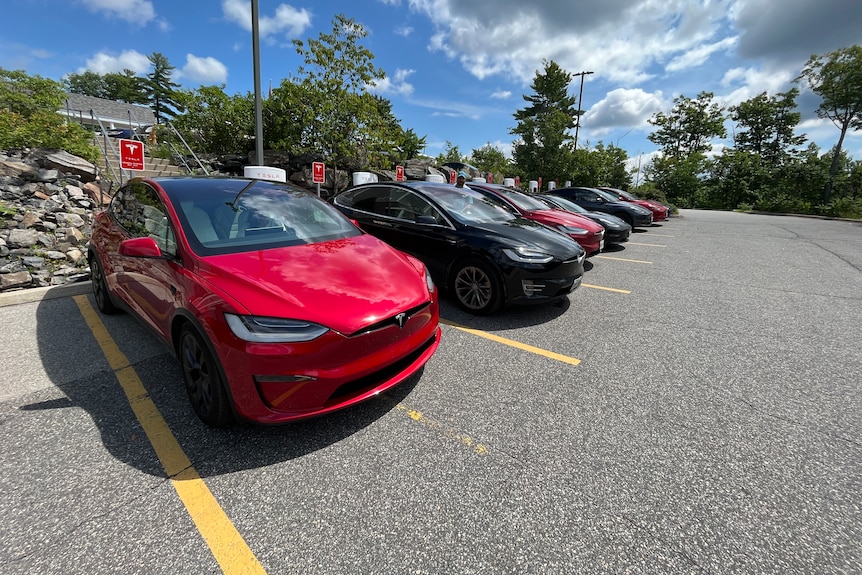 Row of black and red Teslas in a parking lot. 