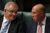 Scott Morrison's eyebrows are raised, Peter Dutton has his eyes closed and mouth twisted into a comical frown.