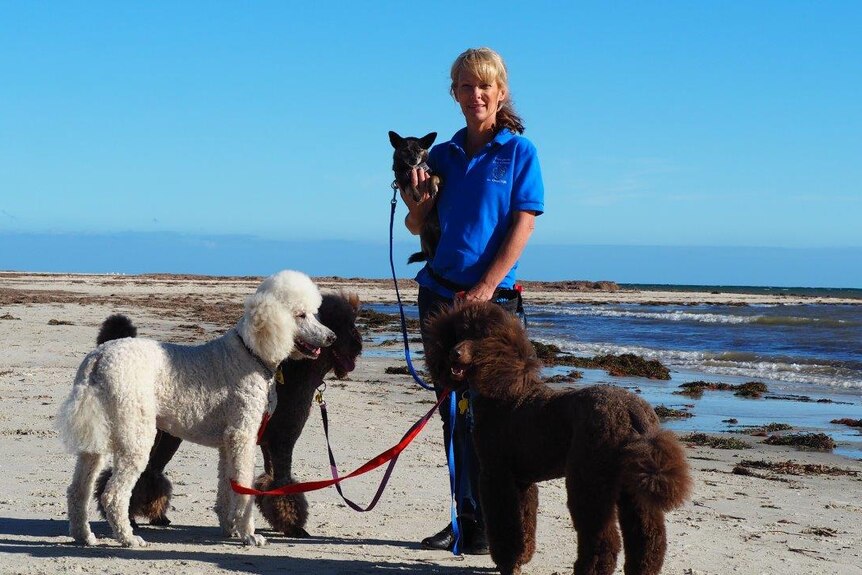 Jody with her pups on the beach