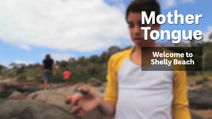 A boy, text overlay reads 'My Place Welcome to Shelly Beach, Port Lincoln'