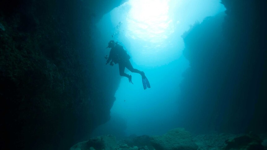A diver swims into an underwater cave off the Victorian coast