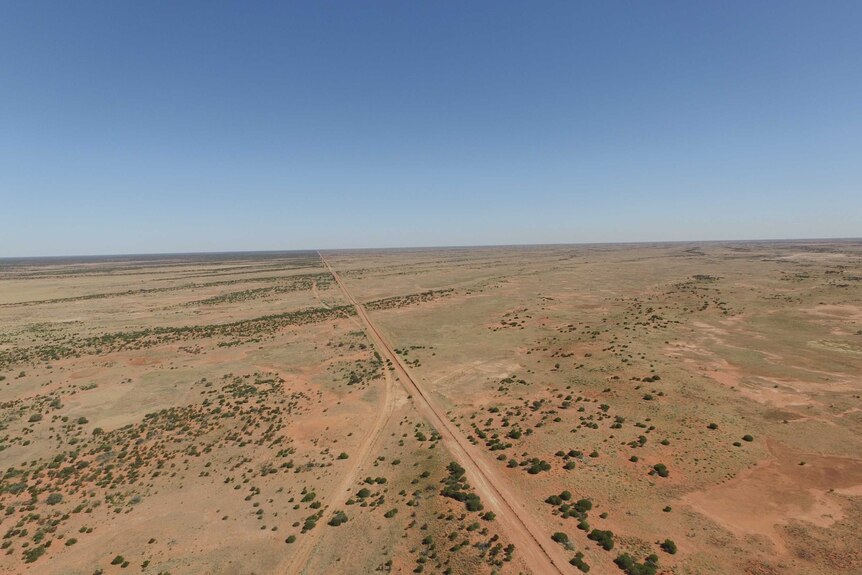 The dingo fence from the air