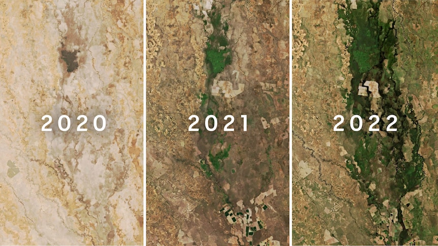 The complexity of managing water in the Murray-Darling