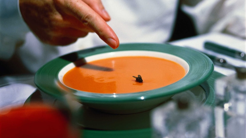 A hand with finger pointing at a fly floating in a bowl of pumpkin soup.