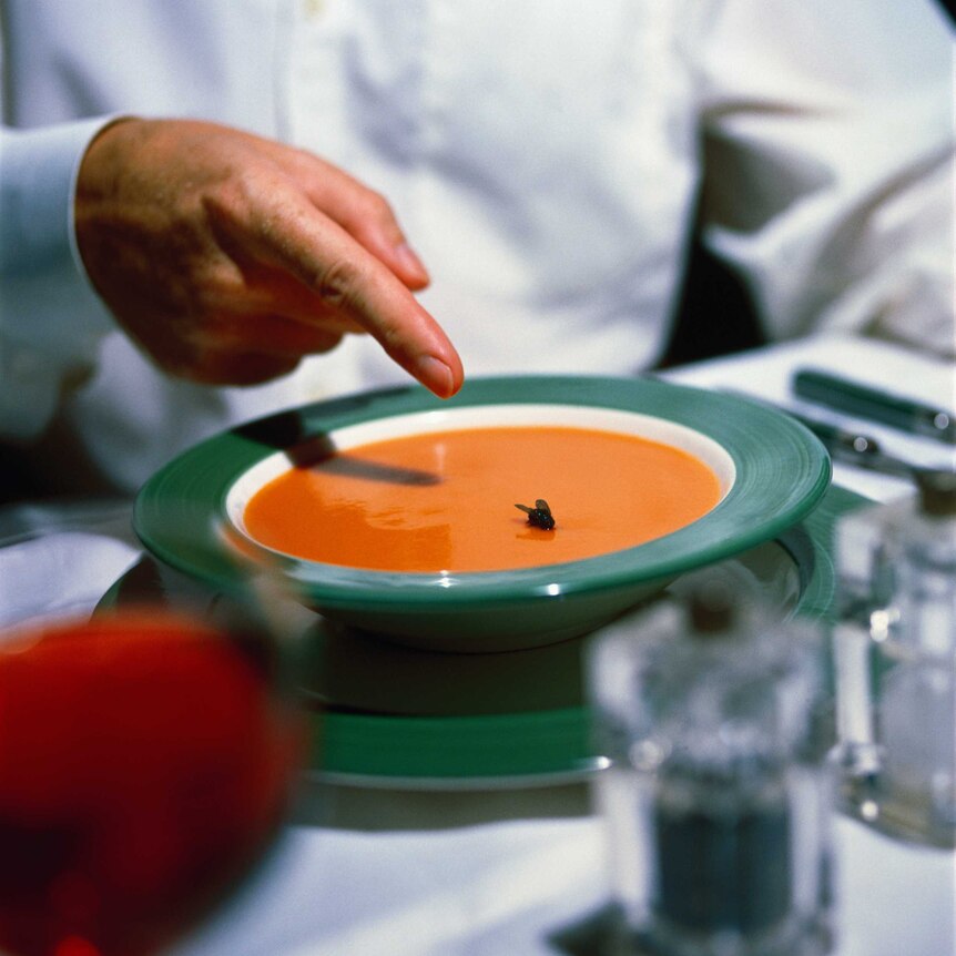 A hand with finger pointing at a fly floating in a bowl of pumpkin soup.
