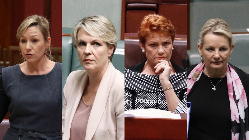 A composite image of four female politicians, two in the red senate chamber, two in the blue house of representatives