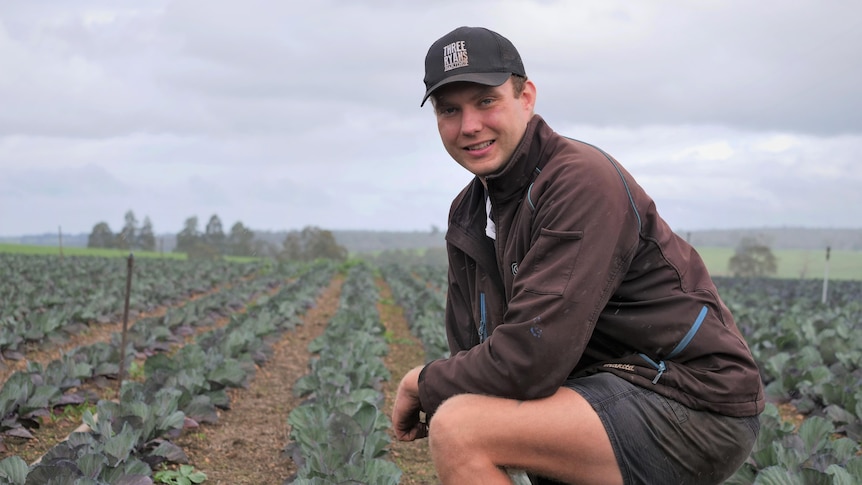 Young male farmer kneeling amongst his crop of vegetables.