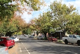 A regional town's main street lined by oak trees