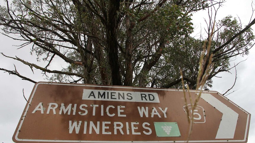 A road sign pointing to Armistice Way and wineries