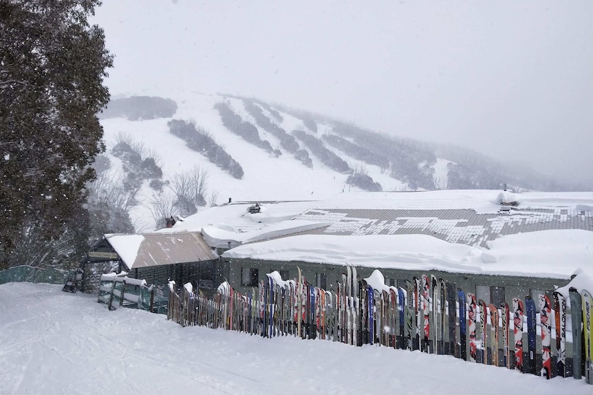 Snow falls on the Falls Creek Country Club, which is lined with snowboards outside.