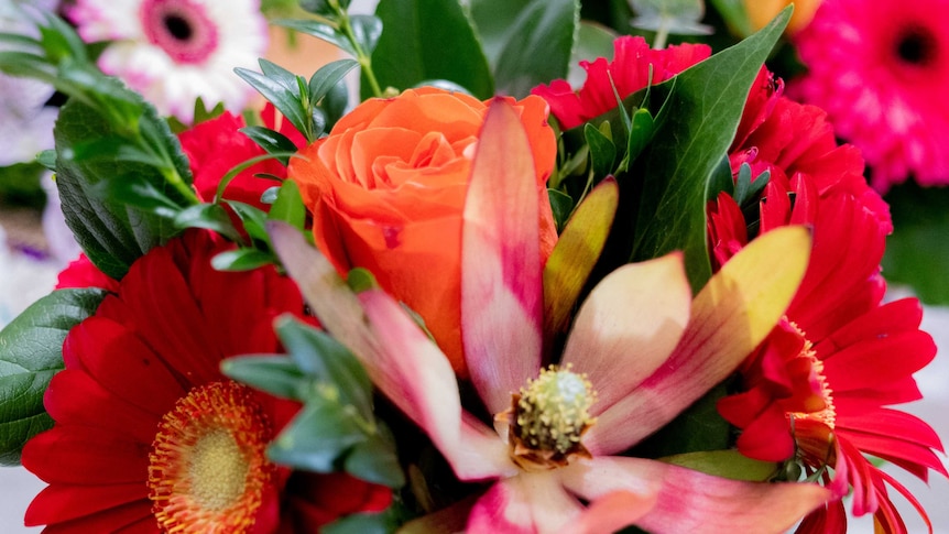 A bouquet of flowers including orange roses and red carnations