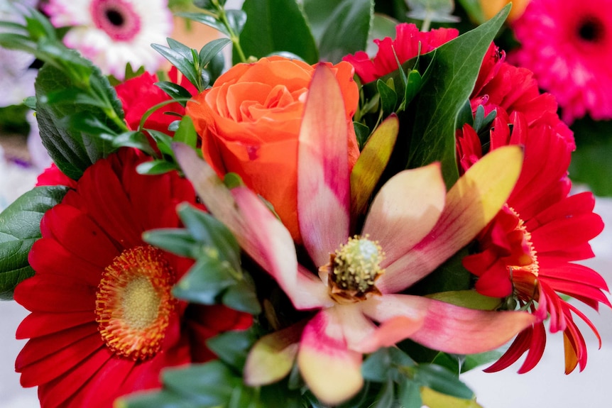 A bouquet of flowers including orange roses and red gerberas