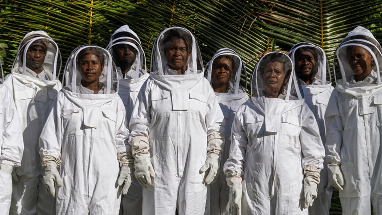 A group shot of bee keeping participants in white protective suits and veils among palm trees