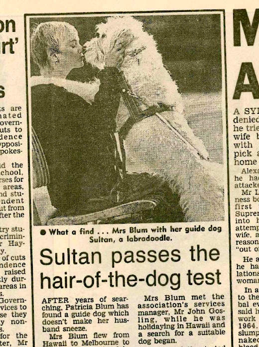 Newspaper clipping photo of Sultan and his owner Patricia.