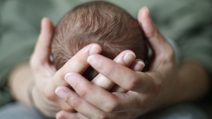 Newborn's head in mum's hands