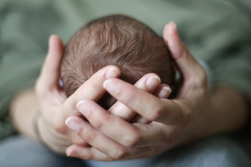Newborn's head in mum's hands
