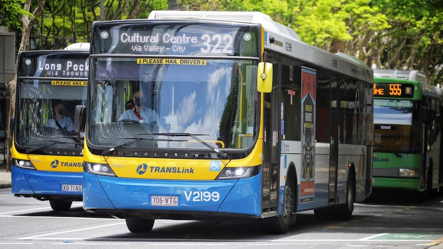 Masked bus drivers in commuter buses in Adelaide Street in Brisbane city on January 11, 2021.