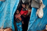 Displaced Syrian children look out from their tents at Kelbit refugee camp,