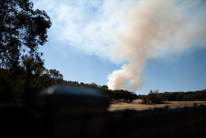 Smoke from a bushfire seen from a distance. 